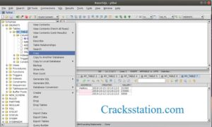RazorSQL Crack With Full Activation Code Download
