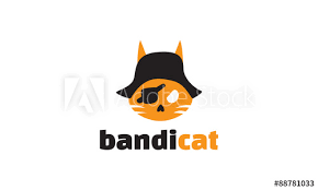 Bandicut Registration Key Free